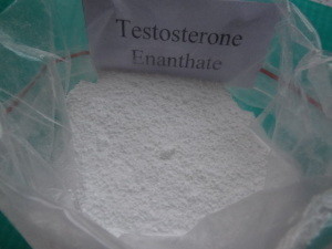 TE Test E Pharma Raw Materials / Steroid Raw Powder 98% min Assay